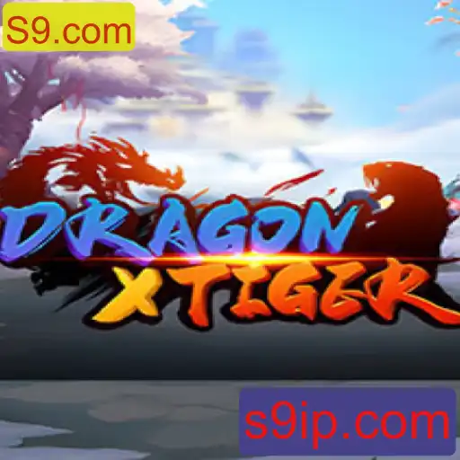 DragonXTiger: A Nova Sensação dos Jogos de Tabuleiro