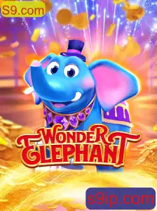 WonderElephant: A Fascinating Journey into the World of Puzzles